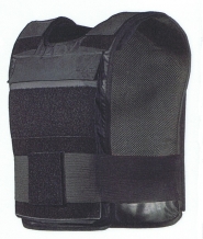 Triton SAT plate carrier hoes