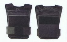 Triton Sat plate carrier