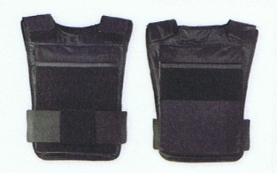 Triton SAT plate carrier