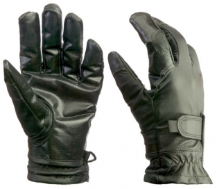 Search Gloves / Turtleskin