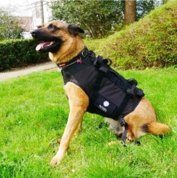 Kugelsichere Weste Hund schutzweste NIJ-3A Sioen